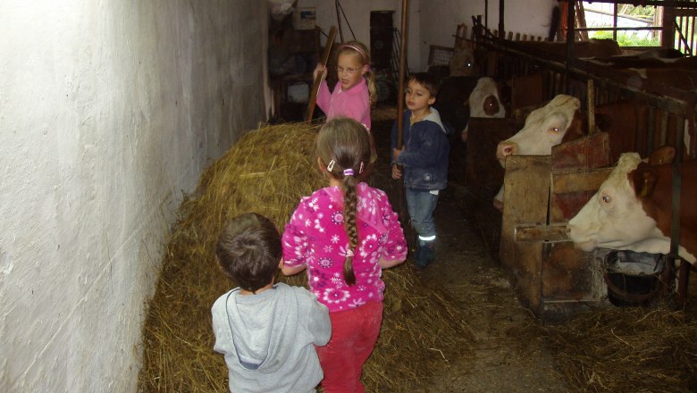 Farm Waira, © Fam. Schauer-Zeitlhofer Farm Waira, © Fam. Schauer-Zeitlhofer
