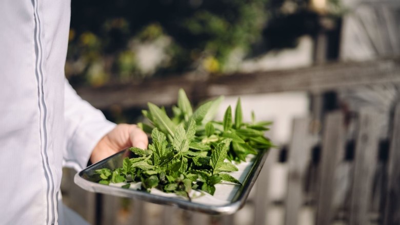 0060_Moststraße_Bachlerhof_20250922-4973-001, © Moststraße, dochbodnliacht 0060_Moststraße_Bachlerhof_20250922-4973-001, © Moststraße, dochbodnliacht