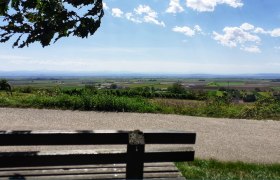 Riedweg, © Verena Schnatter Riedweg, © Verena Schnatter