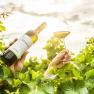 WeingutStadler_Wein_(c)RobertHerbst_1920px, © Robert Herbst WeingutStadler_Wein_(c)RobertHerbst_1920px, © Robert Herbst