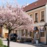 Gasthof zur Kirche, © Gasthof zur Kirche Gasthof zur Kirche, © Gasthof zur Kirche