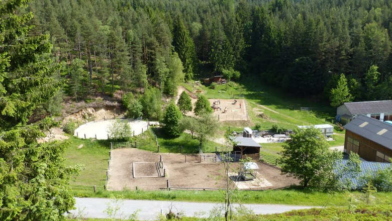 Horse stable, © Pferdehof Kurzmann Horse stable, © Pferdehof Kurzmann