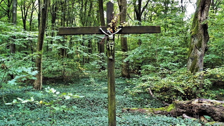 Listening station 7 Linden, VIA.CARNUNTUM., © Donau Niederösterreich Listening station 7 Linden, VIA.CARNUNTUM., © Donau Niederösterreich