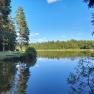 Geißbachteich mitten im Wald, schwimmen, sonnenbaden, fischen etc., © Ferienhaus Leopold Geißbachteich mitten im Wald, schwimmen, sonnenbaden, fischen etc., © Ferienhaus Leopold