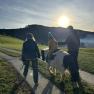 Ponies at Landhaus Aigner (2), © Landhaus Aigner Ponies at Landhaus Aigner (2), © Landhaus Aigner