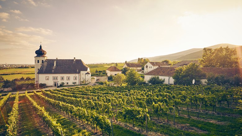 Freigut Thallern je jedním z nejstarších vinařství v Rakousku. , © Andreas Hofer