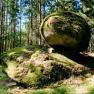 Unser Wald - ein Naturjuwel, © Biohof Hammerschmidt Unser Wald - ein Naturjuwel, © Biohof Hammerschmidt