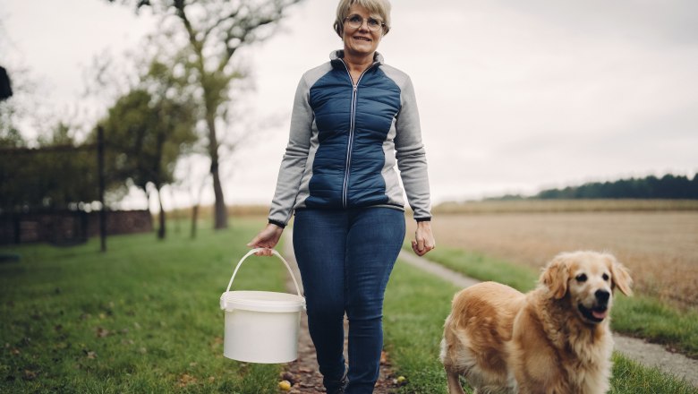 Pihringer's Moststub'n, © Moststraße, dochbodnliacht Pihringer's Moststub'n, © Moststraße, dochbodnliacht