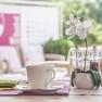 Gourmet breakfast, © Martin Klotz Gourmet breakfast, © Martin Klotz