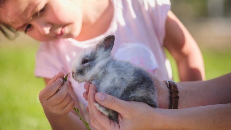 Feeding rabbit, © Die Hochriess-Distelberger GmbH & Co.KG Feeding rabbit, © Die Hochriess-Distelberger GmbH & Co.KG