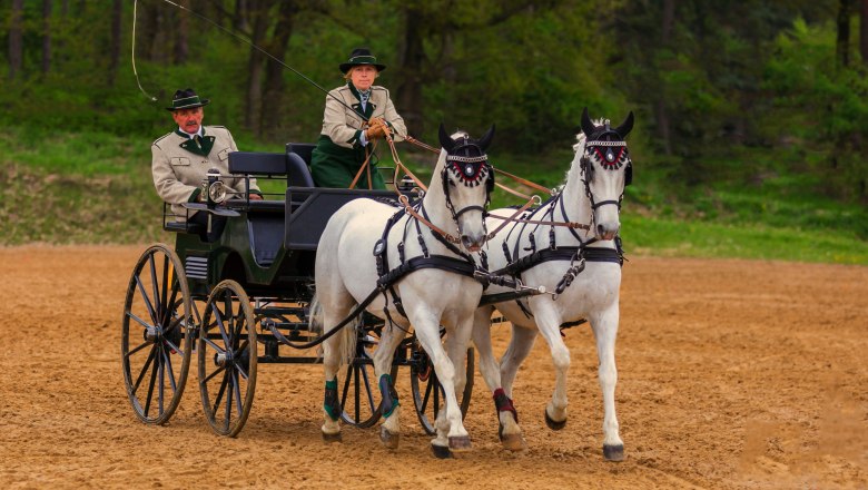 Karlstetten Driving and Riding Club, © Gerty Schabas Karlstetten Driving and Riding Club, © Gerty Schabas