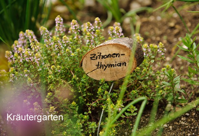 Herb garden Ferienstadl Hammerau, © zVg Herb garden Ferienstadl Hammerau, © zVg