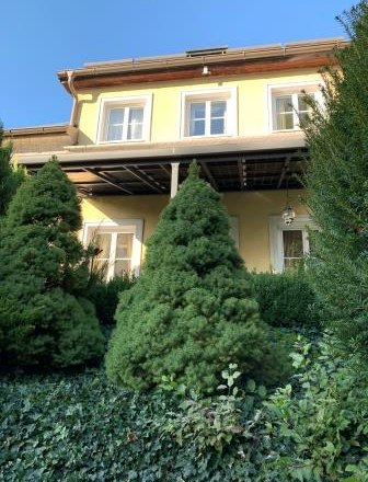 Dům s bazénem, © bed and pool Dům s bazénem, © bed and pool