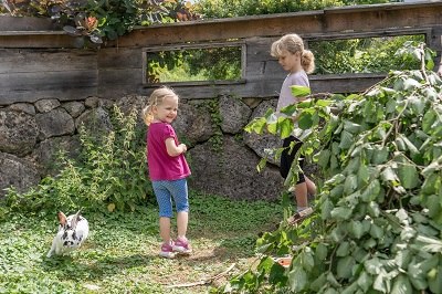 Stroking rabbits in the outdoor enclosure, © Einkehrhof Poggau Stroking rabbits in the outdoor enclosure, © Einkehrhof Poggau