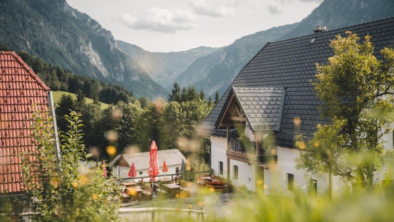 DSC08024-1, © Gerald Demolsky DSC08024-1, © Gerald Demolsky