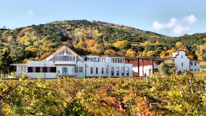 Autumn time at the Schlossberg winery, © Weingut Schlossberg Autumn time at the Schlossberg winery, © Weingut Schlossberg