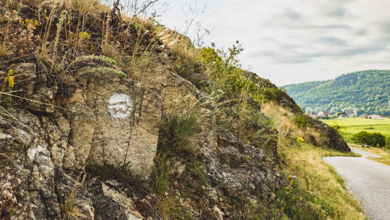 Projděte se kolem přírodních památek na Stezce světového dědictví., © Donau NÖ/Pamela Schmatz Projděte se kolem přírodních památek na Stezce světového dědictví., © Donau NÖ/Pamela Schmatz