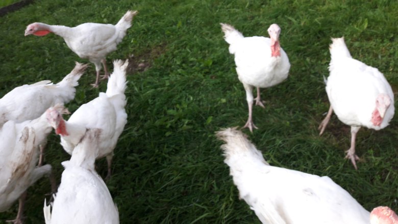 20210821_185917, © Heidi 20210821_185917, © Heidi