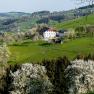 tiny-houses-birner-3, © Sandra Gartlehner tiny-houses-birner-3, © Sandra Gartlehner