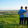 Gently rolling wine landscape, © Tonality Gently rolling wine landscape, © Tonality