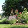 Garten, © Reinhard Kratochvil Garten, © Reinhard Kratochvil