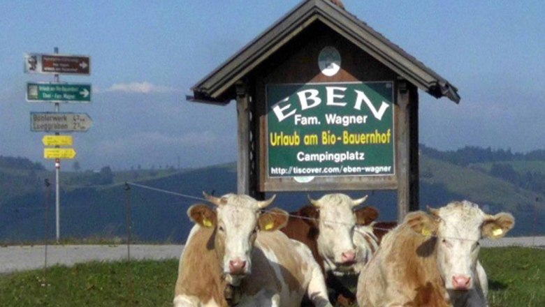 Access road, © Gottfried & Rosina Wagner Access road, © Gottfried & Rosina Wagner