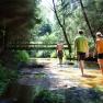 Beim Einfalt B&B | Wandern im Waldviertel, © Familie Einfalt Beim Einfalt B&B | Wandern im Waldviertel, © Familie Einfalt