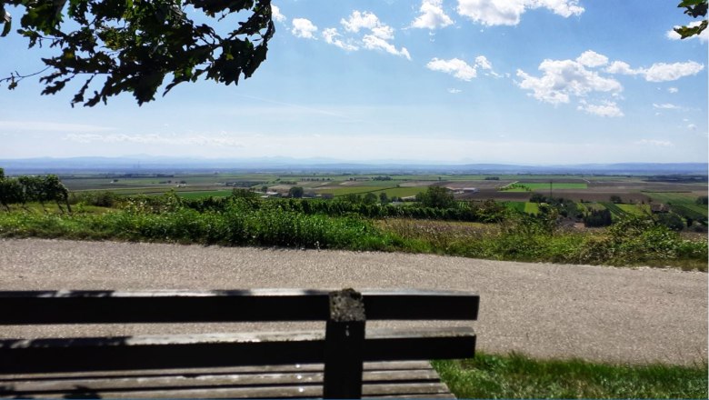 Riedweg, © Verena Schnatter Riedweg, © Verena Schnatter