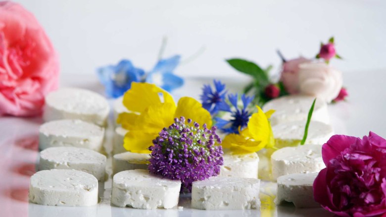 Diendorf farm cheese dairy, © Manuel Zauner Diendorf farm cheese dairy, © Manuel Zauner