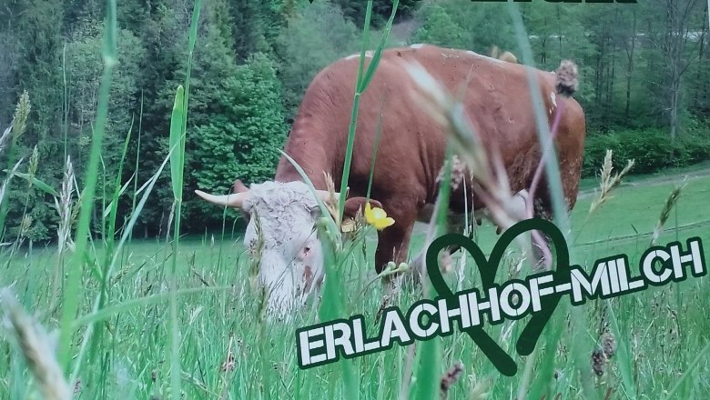 Erlachhof organic milk, © Erlachhof Erlachhof organic milk, © Erlachhof