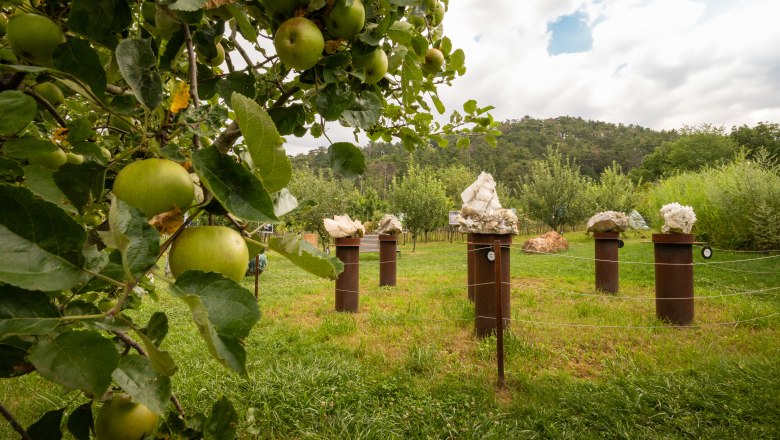 Naturhotel Gut Guntrams Gartenlofts, © Niederösterreich Werbung / Maximilian Pawlikowsky Jabloň v popředí, sochy na podstavcích v pozadí, zelená louka a zatažená obloha.