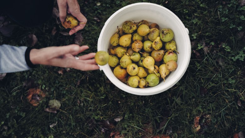 Pihringer's Moststub'n, © Moststraße, dochbodnliacht Pihringer's Moststub'n, © Moststraße, dochbodnliacht