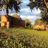 tiny-house-birner-4, © Sandra Gartlehner tiny-house-birner-4, © Sandra Gartlehner