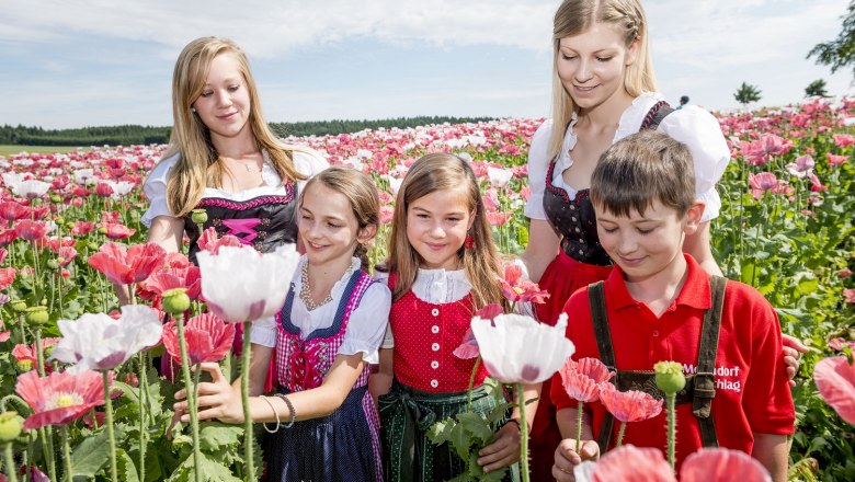 Poppy village Armschlag, © ISHOOTPEOPLE.AT Poppy village Armschlag, © ISHOOTPEOPLE.AT