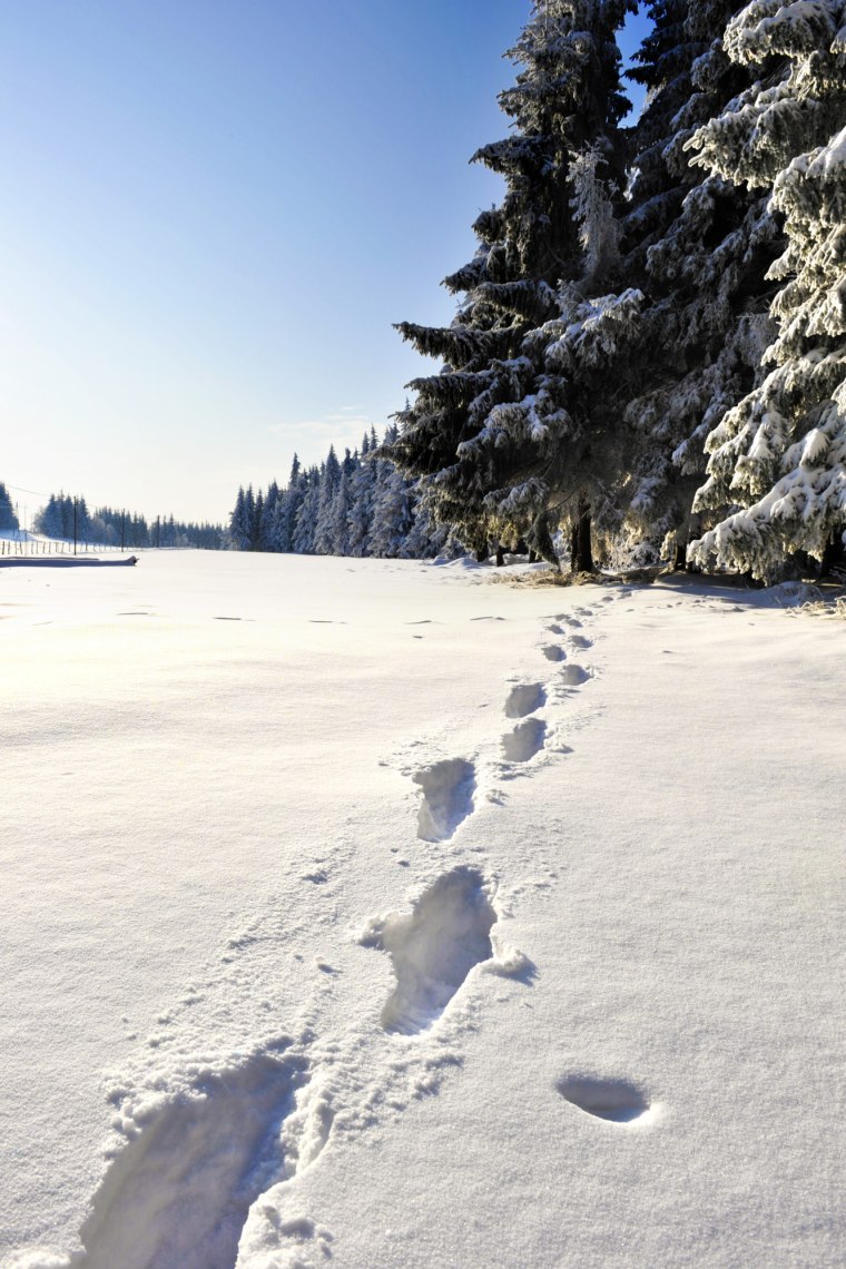 Procházka rozlehlou bílou krajinou., © Naturparke Niederösterreich/Robert Herbst Procházka rozlehlou bílou krajinou., © Naturparke Niederösterreich/Robert Herbst