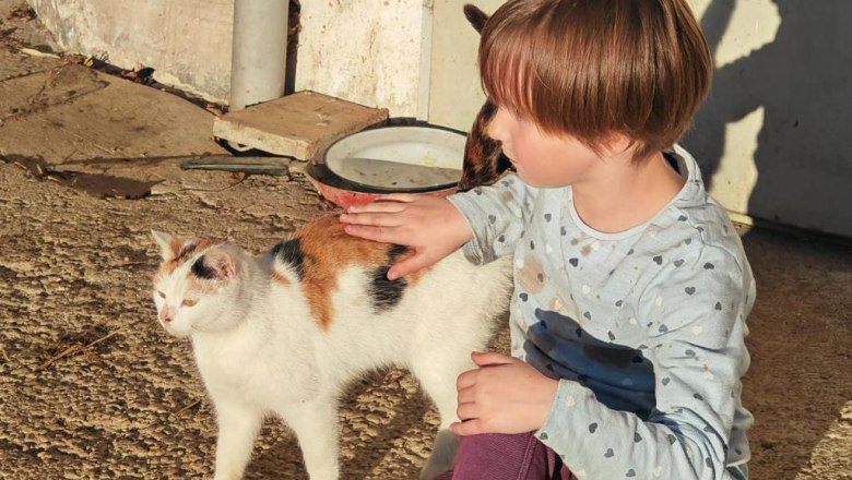 IMG-20240402-WA0007, © Heidi IMG-20240402-WA0007, © Heidi