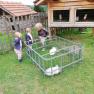 Tiere ganz nah erleben..., © Familie Rosinger Tiere ganz nah erleben..., © Familie Rosinger