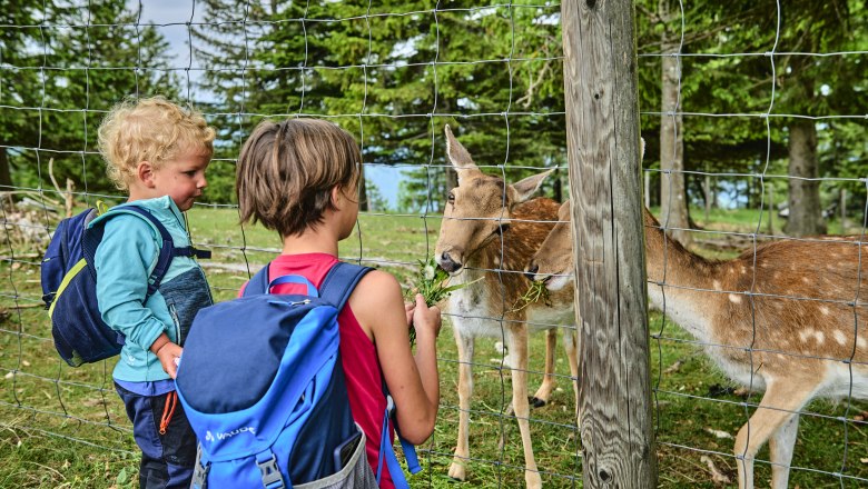 asagan_hohe-wand_openening_04-06-23_Christopher Mavrič _(c)Christopher_Mavrič, © Christopher Mavric asagan_hohe-wand_openening_04-06-23_Christopher Mavrič _(c)Christopher_Mavrič, © Christopher Mavric