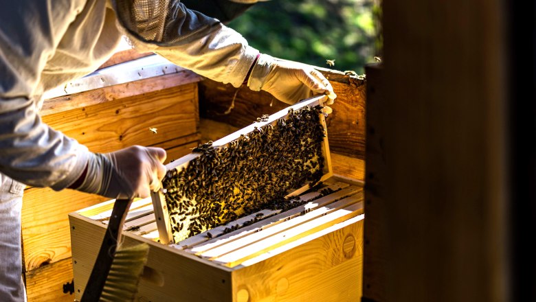 Julia the beekeeper, © Einkehrhof Poggau Julia the beekeeper, © Einkehrhof Poggau