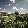X150930_096, © MALAT Weingut und Hotel X150930_096, © MALAT Weingut und Hotel