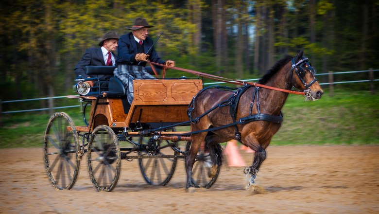 Karlstetten Driving and Riding Club, © Gerty Schabas Karlstetten Driving and Riding Club, © Gerty Schabas
