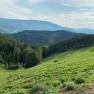 Aussicht von der Rams, © Wiener Alpen Aussicht von der Rams, © Wiener Alpen