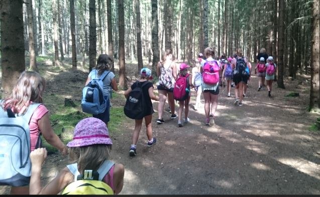 Forest hike_1, © Franz Inghofer Forest hike_1, © Franz Inghofer