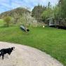Spielplatz Sunnseit´n, © Mostviertel Tourismus Spielplatz Sunnseit´n, © Mostviertel Tourismus