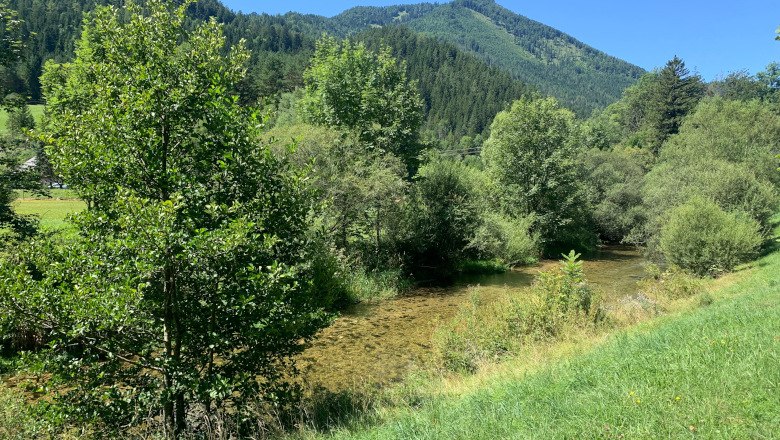 3_Naturpark_Falkenstein_(c)TVB-Semmering-Rax-Schneeberg, © TVB Semmering-Rax-Schneeberg 3_Naturpark_Falkenstein_(c)TVB-Semmering-Rax-Schneeberg, © TVB Semmering-Rax-Schneeberg