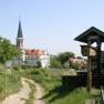 The castle is located in the middle of the vineyards of Gumpoldskirchen, © Schloss Gumpoldskirchen The castle is located in the middle of the vineyards of Gumpoldskirchen, © Schloss Gumpoldskirchen