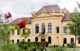 Schloss Eckartsau, © Daniela Porwol