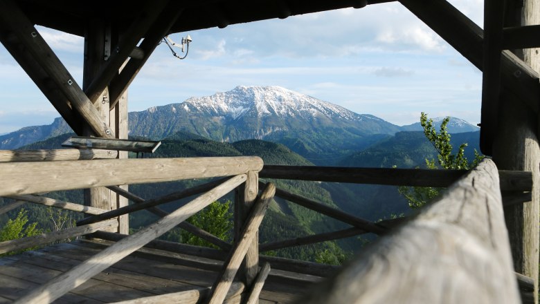 Hochbärneck lookout tower, © weinfranz.at