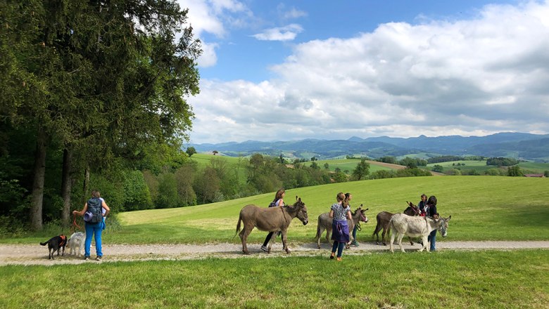 Trekking na oslech na farmě Esperanza, &copy; Mag.a Martina Kotzina, Esperanza- Zentrum f&uuml;r tierunterst&uuml;tzte P&auml;dagogik
