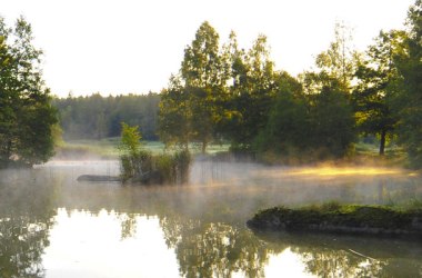 Přírodní park Blockheide, © Naturparke Niederösterreich/Robert Herbst